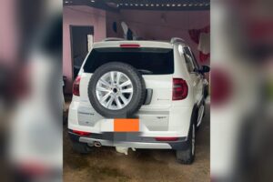 Suspeito de atropelar e matar cachorros de propósito em Anápolis é preso