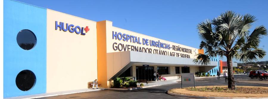 Criança cai de cavalo