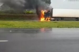 Carreta pega fogo na BR-050, entre Catalão e Campo Alegre (Foto: Reprodução)