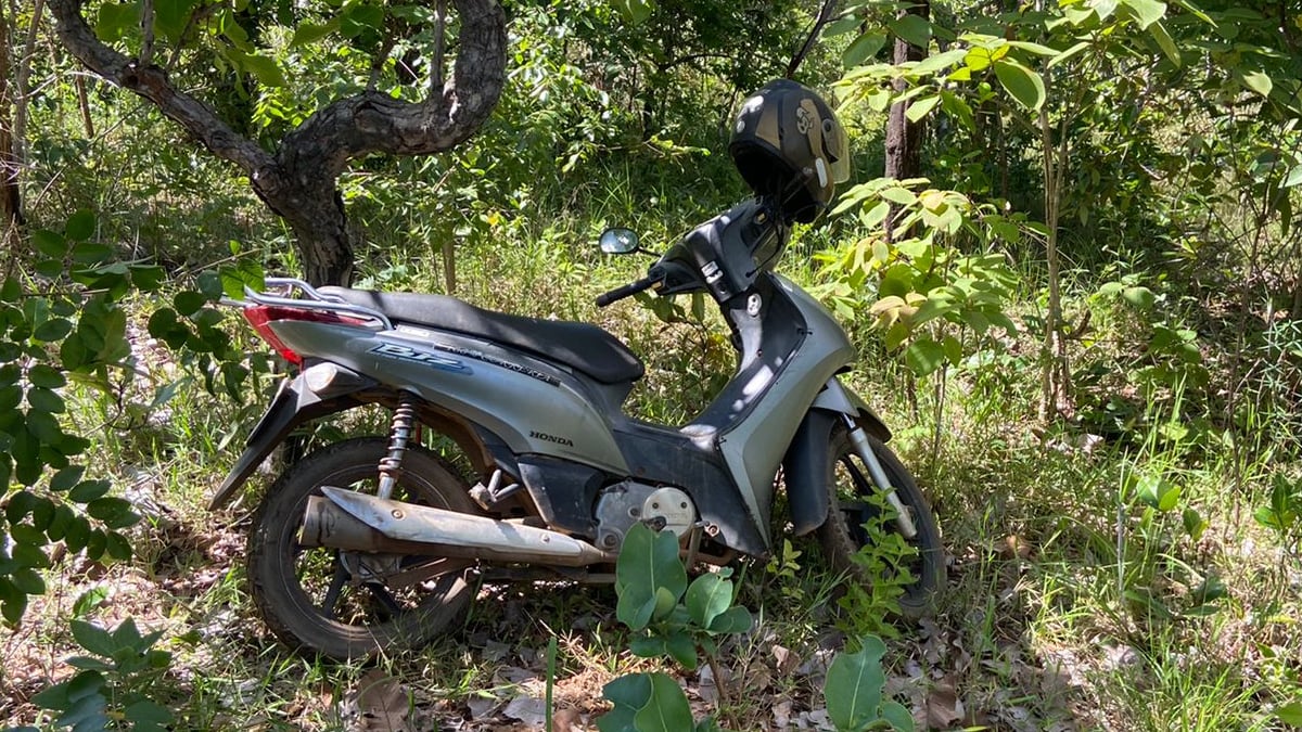 Cães farejadores encontram corpo de homem em mata de Niquelândia