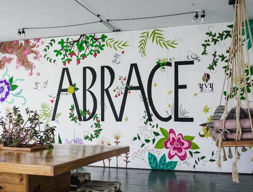 YVY também é opção para levar seu pet