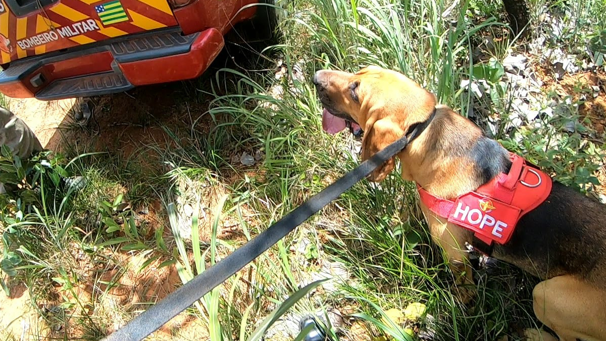 Corpo encontrado em mata é de desaparecido que saiu para caçar palha, confirma polícia