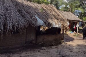 Moradores contestam PM sobre operação com quase 60 tiros e 4 mortos em Cavalcante