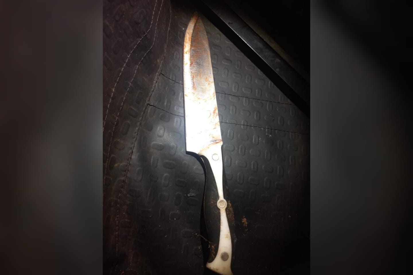 Briga de casal termina em feminicídio em Goianira - homem foi preso