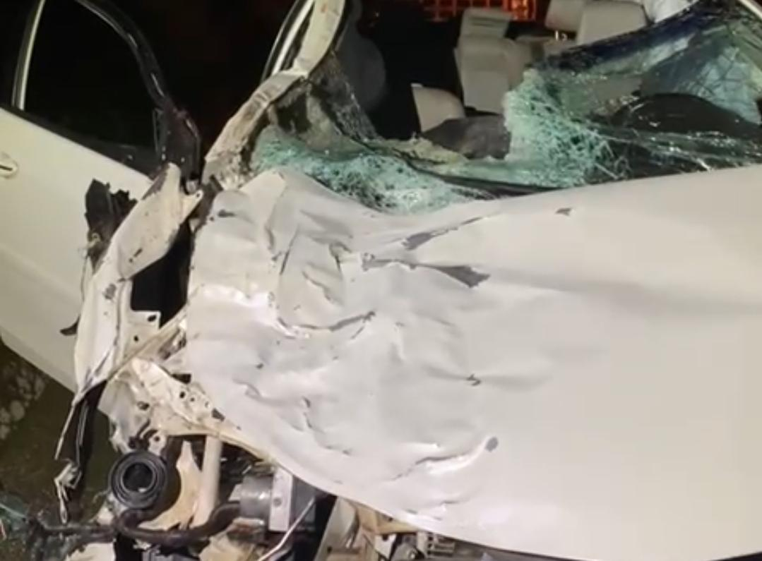 Motorista fica ferido após atropelar uma vaca na GO-164, entre Mossâmedes e Sanclerlândia