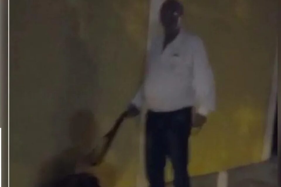 Homem foi flagrado batendo em cachorro com cinto e pontapés em filmagem, em Itaberaí (Imagem: Redes Sociais - Reprodução)