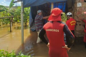 Cheia do rio Meia Ponte alaga casas do residencial Brisa da Mata, em Goiânia (Foto: Corpo de Bombeiros)