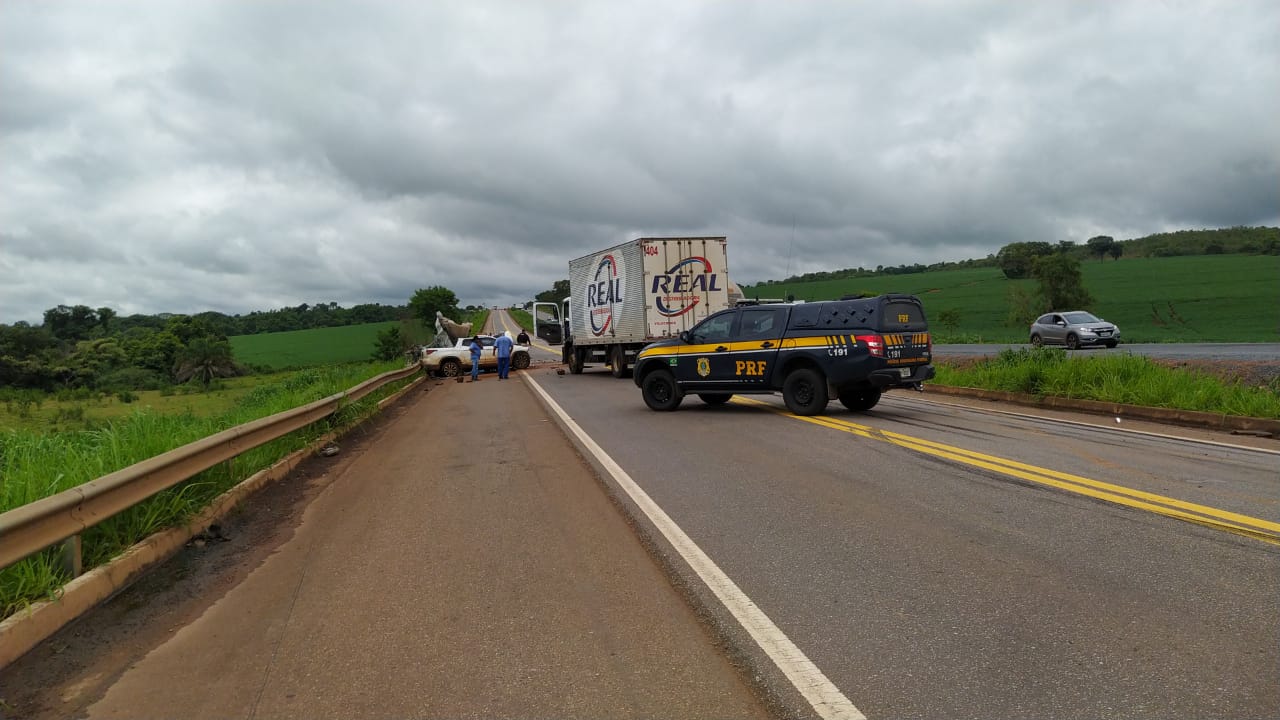 Acidente entre caminhão e picape deixa vítima fata na BR-060, perto de Cezarina (Foto: PRF)
