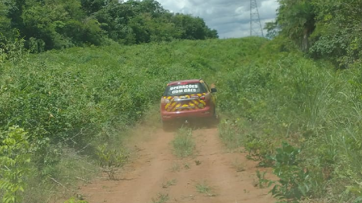Cães farejadores encontram corpo de homem em mata de Niquelândia