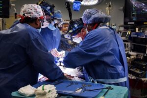 Em procedimento inédito, homem recebe coração de porco geneticamente modificado