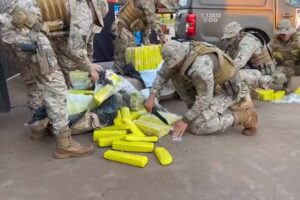 Carga de maconha avaliada em R$ 1 milhão é apreendida pela polícia