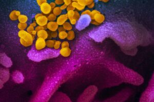 OMS destaca a produção de antivirais genéricos contra a covid-19