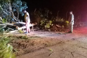 Forte chuva derruba 15 árvores e assusta moradores em Pires do Rio