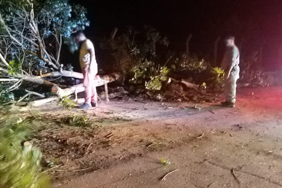Forte chuva derruba 15 árvores e assusta moradores em Pires do Rio
