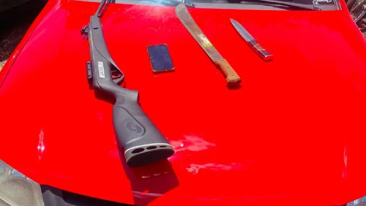 PM prende suspeito de organizar rinha de galos e maltratar aves em Jaraguá