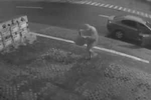 Polícia procura homem que abandonou filhotes de cachorro em Goiânia: vídeo
