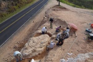 Ninhada de ovos de dinossauro é descoberta no interior paulista