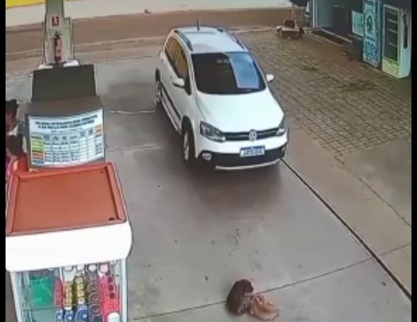 WhatsApp Image 2022-01-10 at 14.22.53