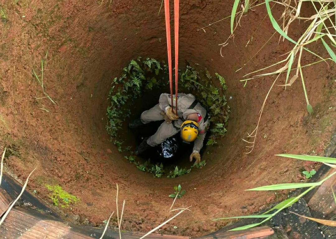 Resgate: cachorro fica ileso após queda de 15m em cisterna de Goianira