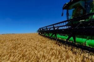 JBS Lista teve como base informações de demonstrativos financeiros. Empresa goiana é a melhor do agronegócio no Brasil, segundo Forbes