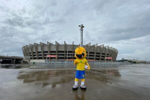 Canarinho da Seleção Brasileira