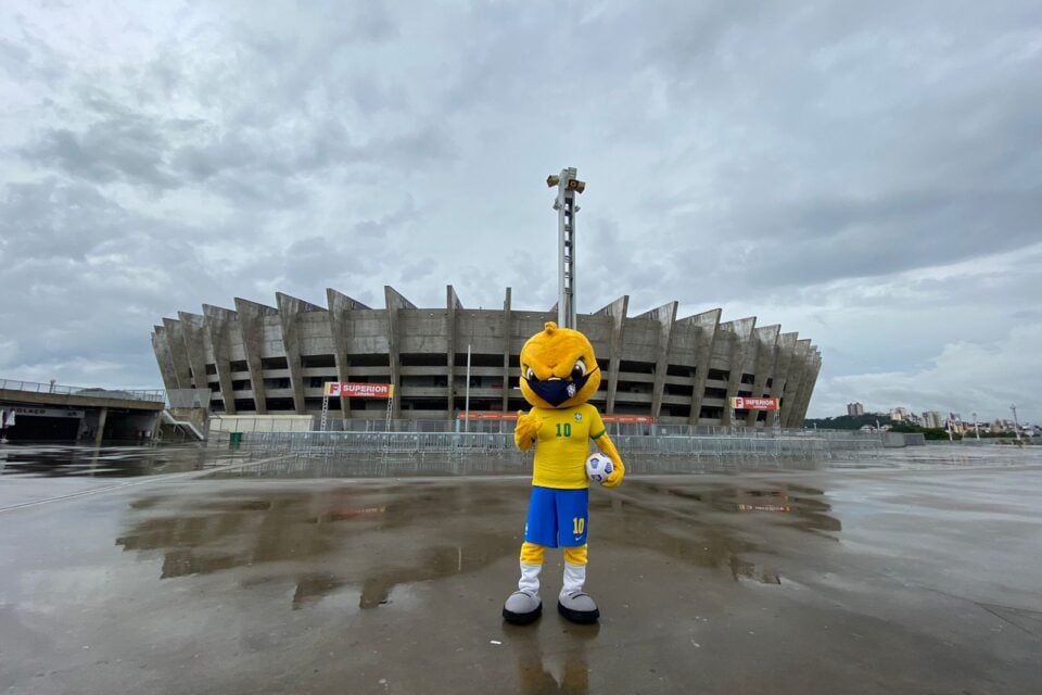 Canarinho da Seleção Brasileira