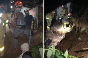 Chuvas em SP causam ao menos 18 mortes e inundações e levam à suspensão da vacinação