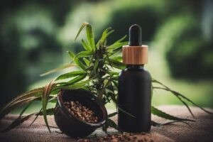 Canabidiol reduz tumor cerebral agressivo e resistente a medicamentos, revela estudo