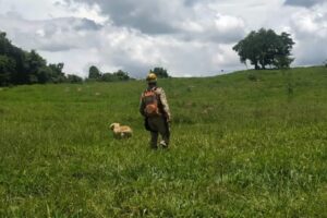 Bombeiros encontram corpo de homem desaparecido em Pirenópolis