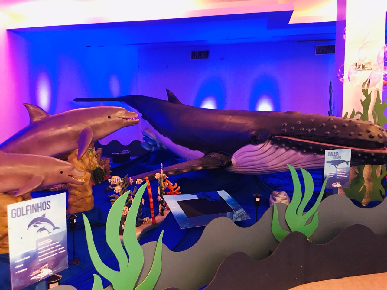 Exposição O Fantástico Mundo Marinho-1