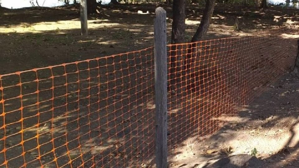 7 meses após criança sofrer ataque de jacaré, animais ainda vivem em lagoa de Porangatu