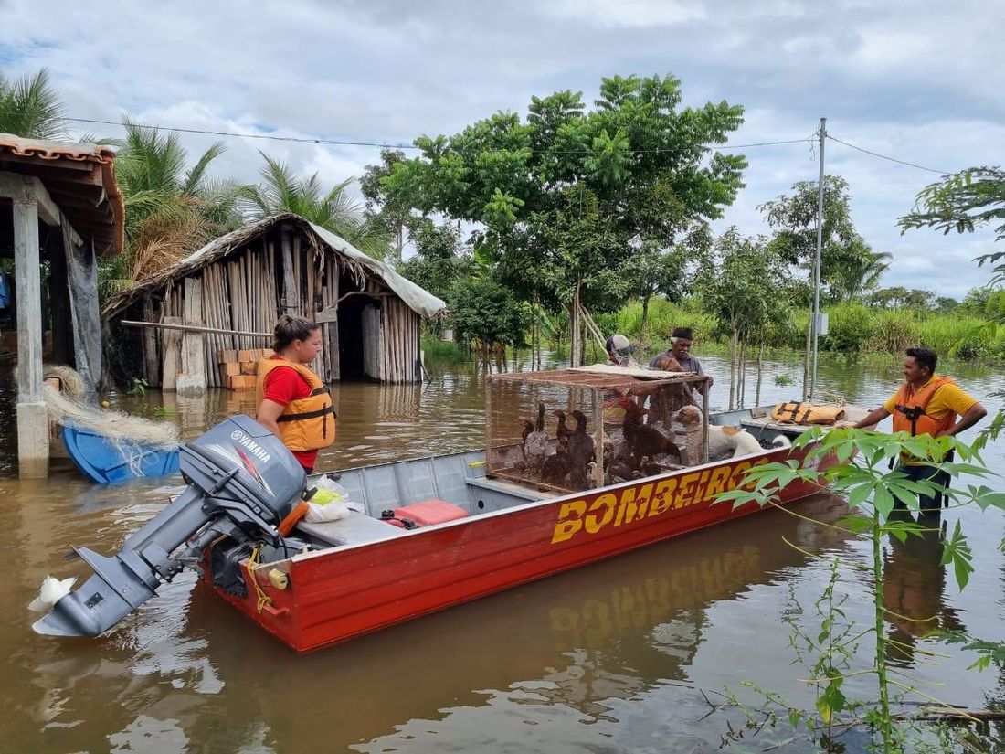 Tocantins sofre com chuvas e já tem 340 pessoas desabrigadas