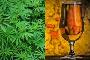 Québec proíbe maconha e álcool para não vacinados, e busca por vacina sobe 300% (Foto: Pixabay)