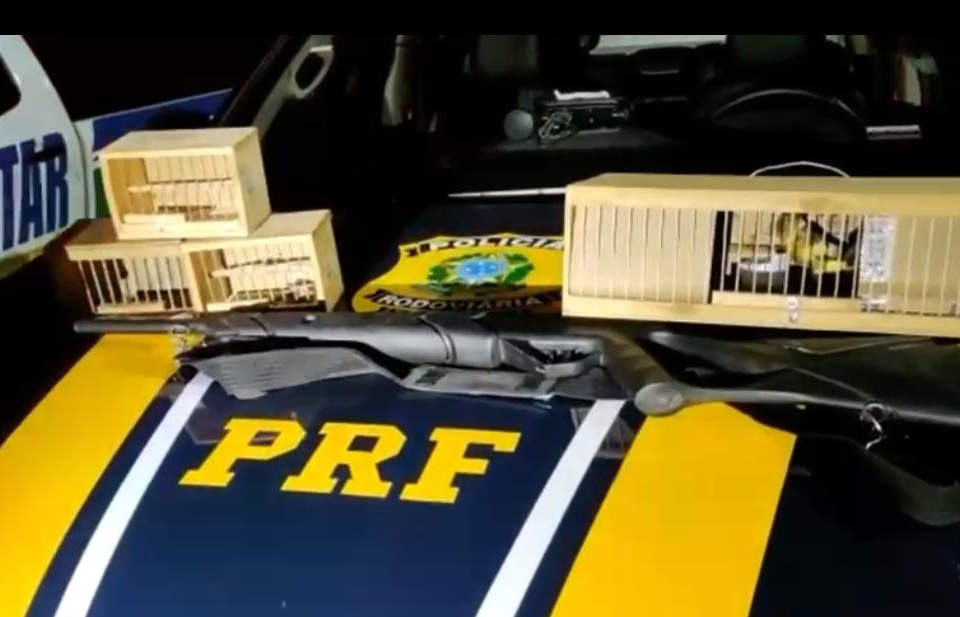 Homem é preso por transporte ilegal de aves silvestres em Uruaçu