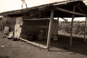 Uma operação deflagrada pela Polícia Federal nesta quarta-feira (26) combate a venda e a compra ilegal de lotes de reforma agrária em Goiás. (Foto ilustrativa de 2015: reprodução/Marcelo Scolari)