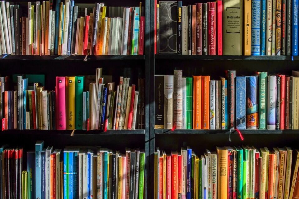 Vendas de livros crescem 29% em 2021 e consolidam bonança do setor editorial (Foto: Reprodução - Pexels)