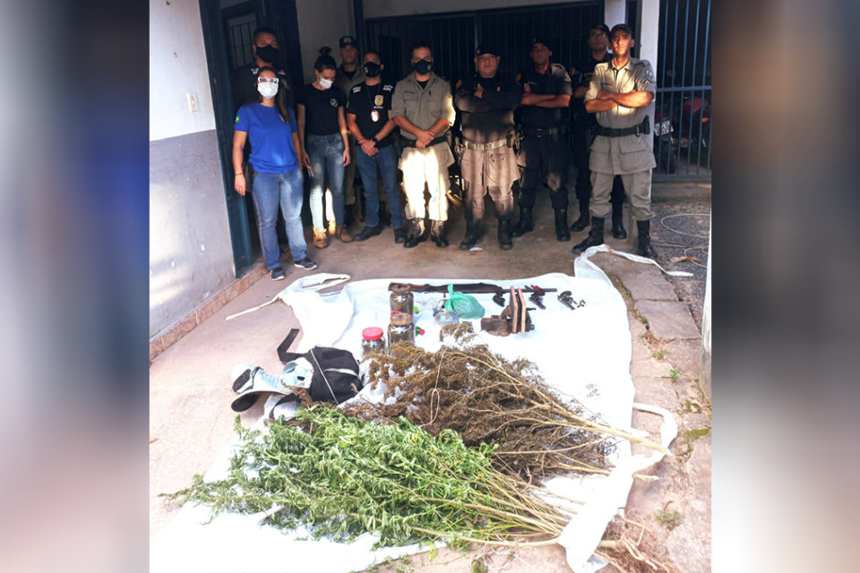 PM encontra plantação de maconha em Colinas do Sul; quatro pessoas morrem no local