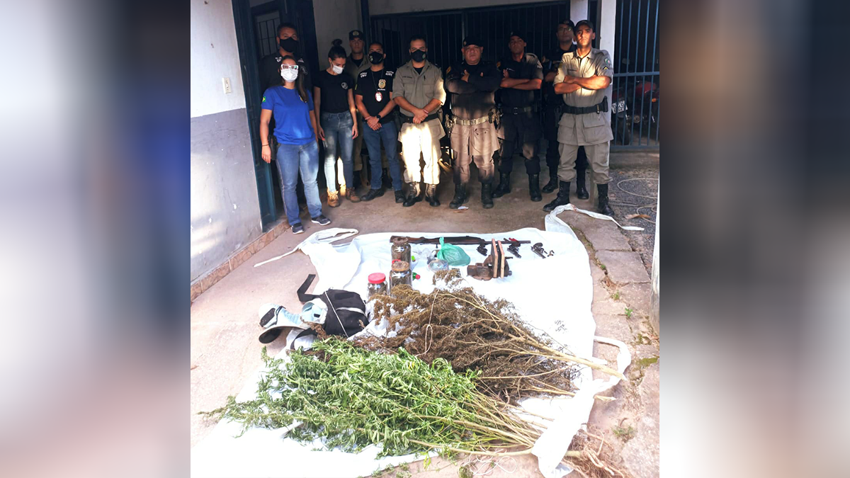 PM encontra plantação de maconha em Colinas do Sul; quatro pessoas morrem no local