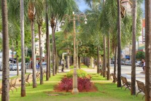 Promotora pede que procurador entre com ação contra Plano Diretor de Goiânia