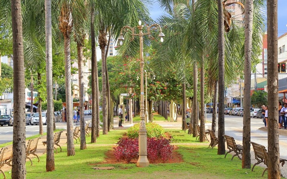 Promotora pede que procurador entre com ação contra Plano Diretor de Goiânia