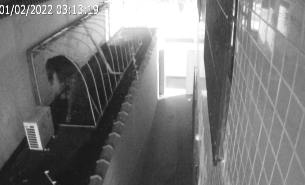 Homem é preso após furtar delegacia pela segunda vez 'para se vingar' em São Paulo