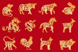 Horóscopo chinês prevê 2023 como um ano de esperança; veja a projeção de cada signo (Foto: Freepik)