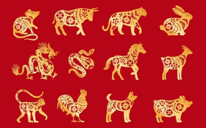Horóscopo chinês prevê 2023 como um ano de esperança; veja a projeção de cada signo (Foto: Freepik)