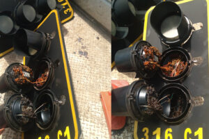 Pela 3ª vez no ano, servidores da Mobilidade de Goiânia acham colmeia em semáforo