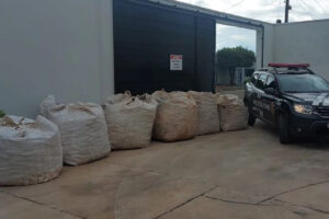 A Polícia Civil recuperou quase 200 quilos de material reciclável que haviam sido furtados de um catador de 60 anos. O crime aconteceu no último domingo (13), na cidade de Morrinhos, no Sul de Goiás. Segundo a polícia, um adolescente de 17 anos e um jovem de 21 são os suspeitos de furtarem as latas de alumínio.