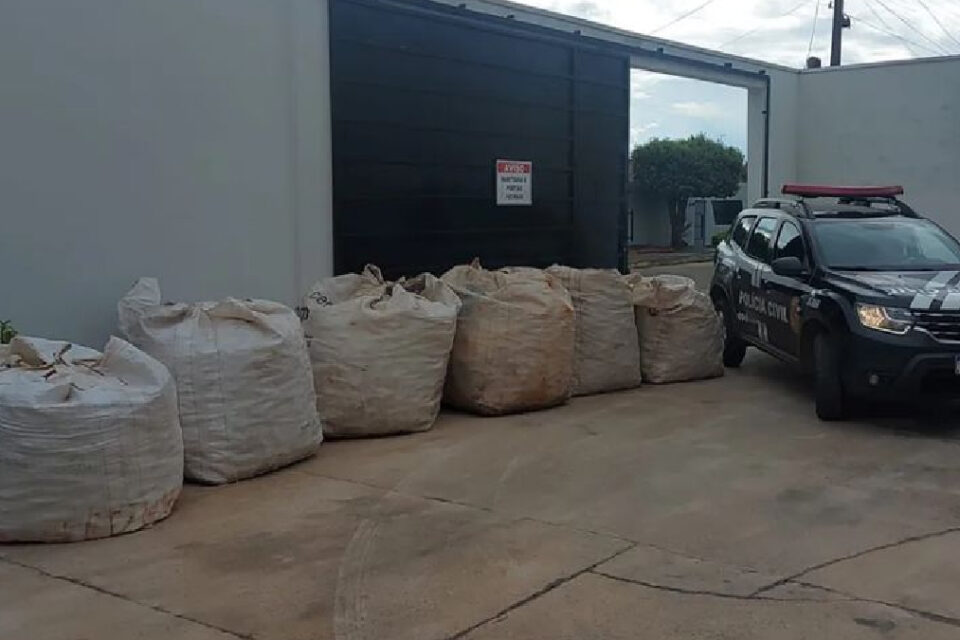 A Polícia Civil recuperou quase 200 quilos de material reciclável que haviam sido furtados de um catador de 60 anos. O crime aconteceu no último domingo (13), na cidade de Morrinhos, no Sul de Goiás. Segundo a polícia, um adolescente de 17 anos e um jovem de 21 são os suspeitos de furtarem as latas de alumínio.