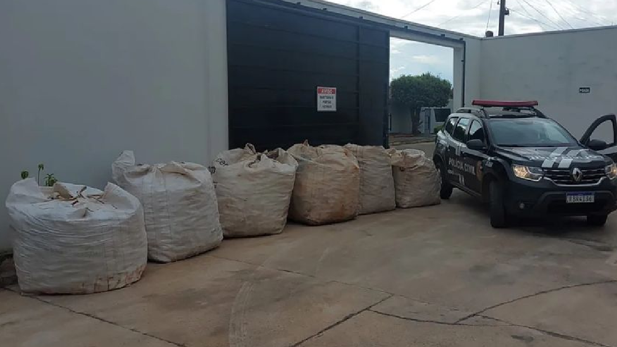 A Polícia Civil recuperou quase 200 quilos de material reciclável que haviam sido furtados de um catador de 60 anos. O crime aconteceu no último domingo (13), na cidade de Morrinhos, no Sul de Goiás. Segundo a polícia, um adolescente de 17 anos e um jovem de 21 são os suspeitos de furtarem as latas de alumínio.