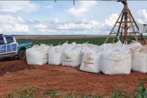 PM apreende 15 toneladas de adubo furtado em Santa Cruz de Goiás (Foto: Polícia Militar)