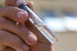 Dengue: Goiânia decreta estado de emergência após liderar número de casos no Brasil - Larva do mosquito transmissor da dengue, Aedes aegypti (Foto: SecomAparecida)