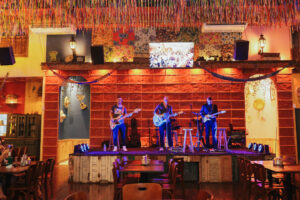 Grito de Carnaval do Tatu Bola